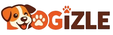 dogizle.com