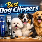 Best Dog Clippers