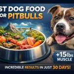 Best Dog Food for Pitbulls