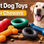 Best Dog Toys For Chewers