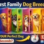 Best Family Dog Breeds