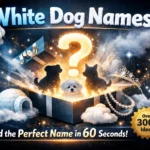 White Dog Names