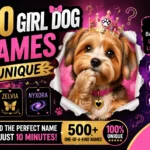 500 Girl Dog Names Unique