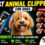 Best Animal Clippers for Dogs
