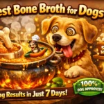 Best Bone Broth for Dogs