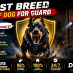 Best Breed of Dog for Guard