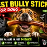 Best Bully Sticks for Dogs