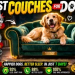 Best Couches for Dogs