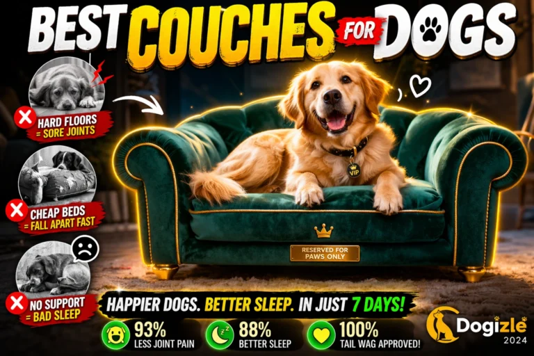 Best Couches for Dogs