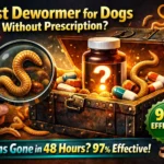 Best Dewormer for Dogs