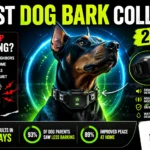 Best Dog Bark Collar
