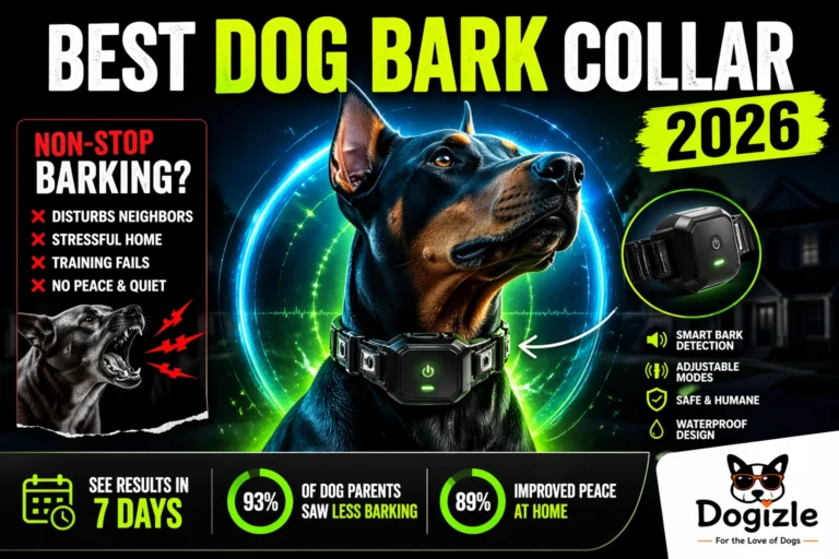 Best Dog Bark Collar