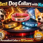 Best Dog Collars with Name