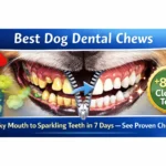 Best Dog Dental Chews