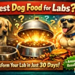 Best Dog Food for Labs