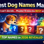 Best Dog Names Male
