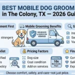 Best Mobile Dog Groomer