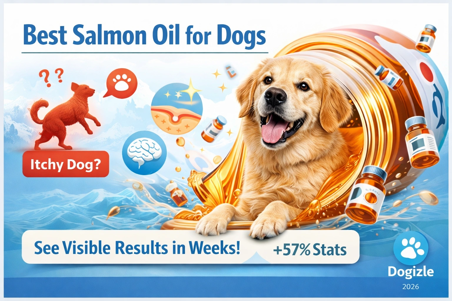 Best Salmon Oil for Dogs