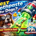 Best Toothpaste for Dogs