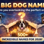 Big Dog Names