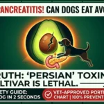 Can Dogs Eat Avocado