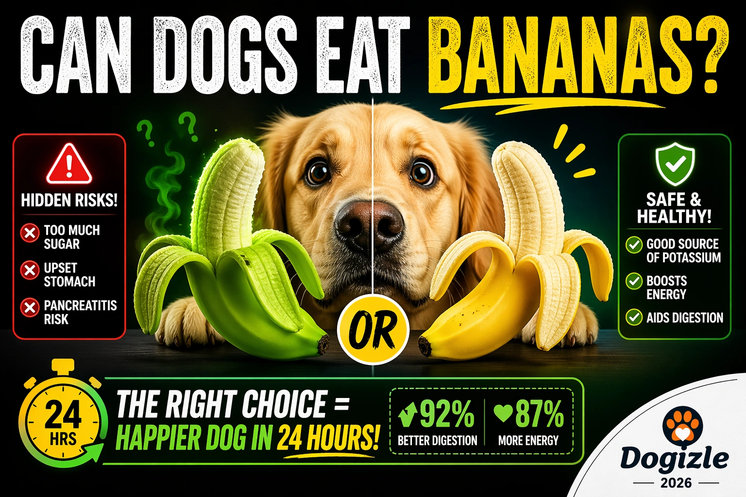 Can Dogs Eat Bananas