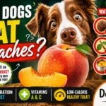 Can Dogs Eat Peaches