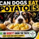 Can Dogs Eat Potatoes