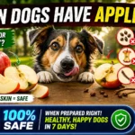 Can Dogs Have Apples