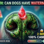 Can Dogs Have Watermelon