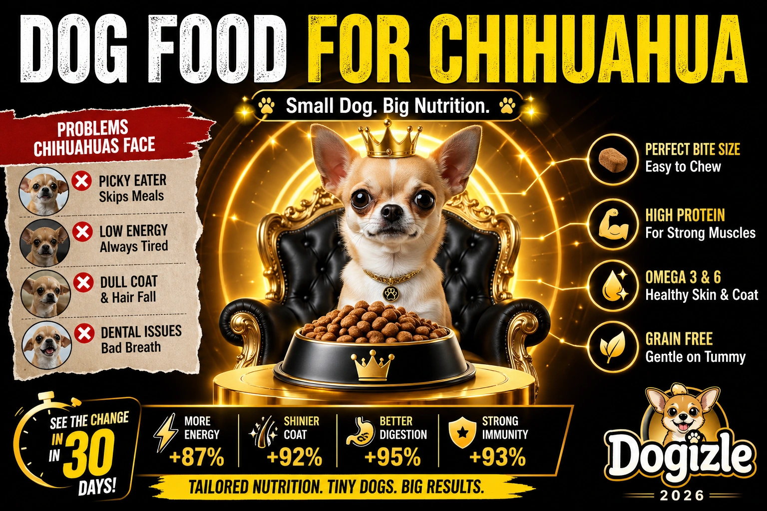 Dog Food for Chihuahua