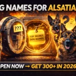 Dog Names for Alsatians