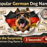 Popular German Dog Names