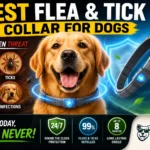 Best Flea & Tick Collars Dogs