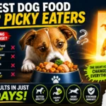 Best Dog Food Picky Eaters
