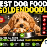 Best Dog Food for Goldendoodles
