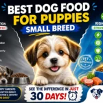 Best Dog Food for Puppies Small Breed