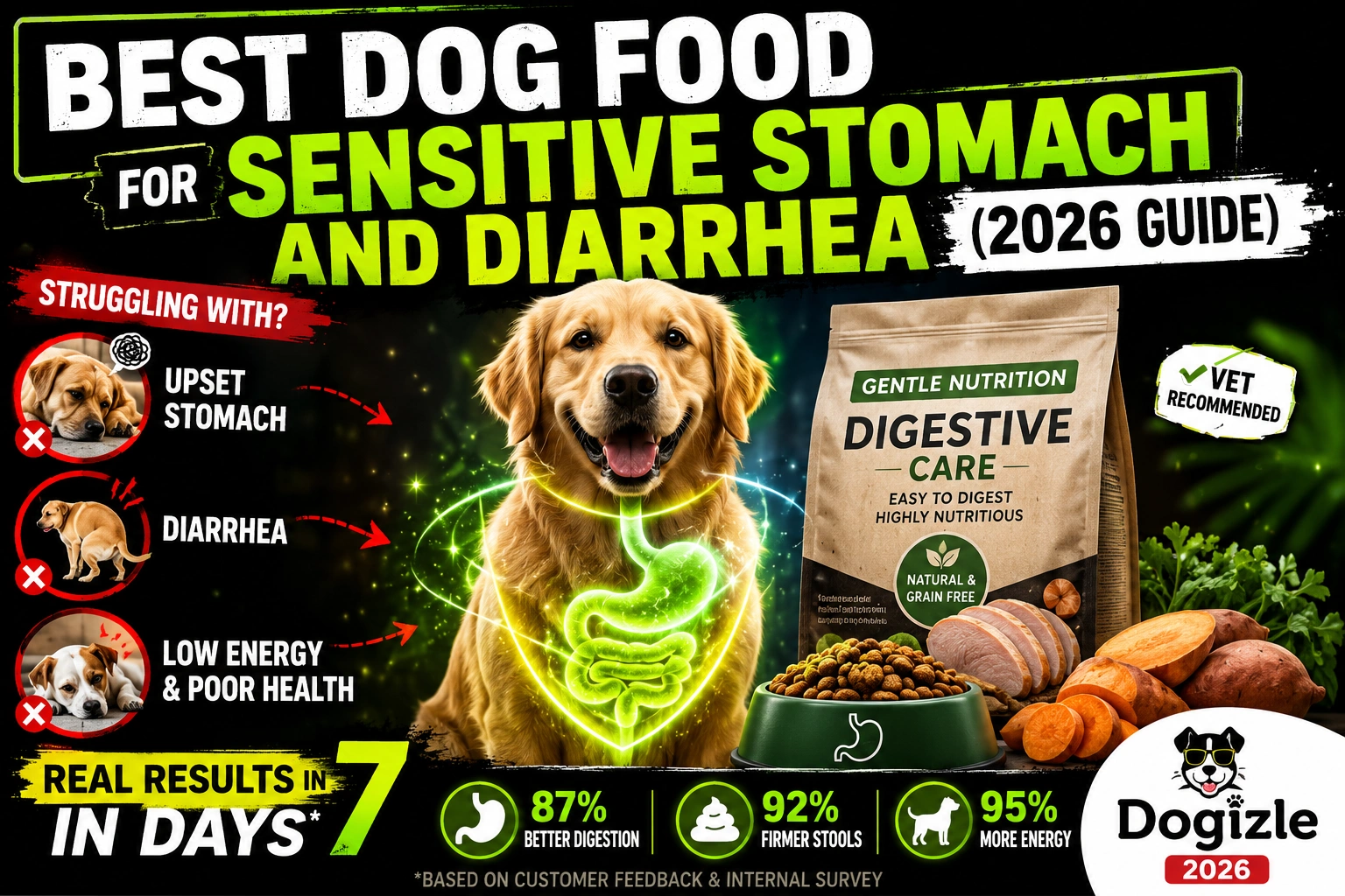 Best Dog Food for Sensitive Stomach