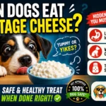 Can Dogs Eat Cottage Cheese