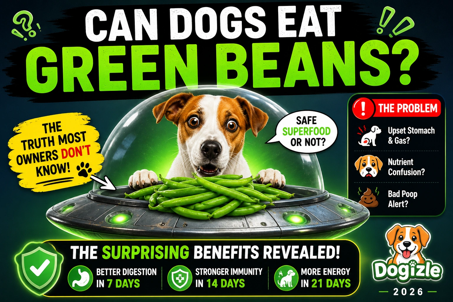 Can Dogs Eat Green Beans