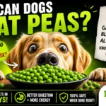 Can Dogs Eat Peas