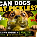 Can Dogs Eat Pickles