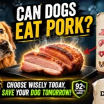 Can Dogs Eat Pork