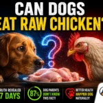 Can Dogs Eat Raw Chicken