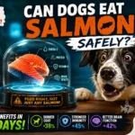 Can Dogs Eat Salmon