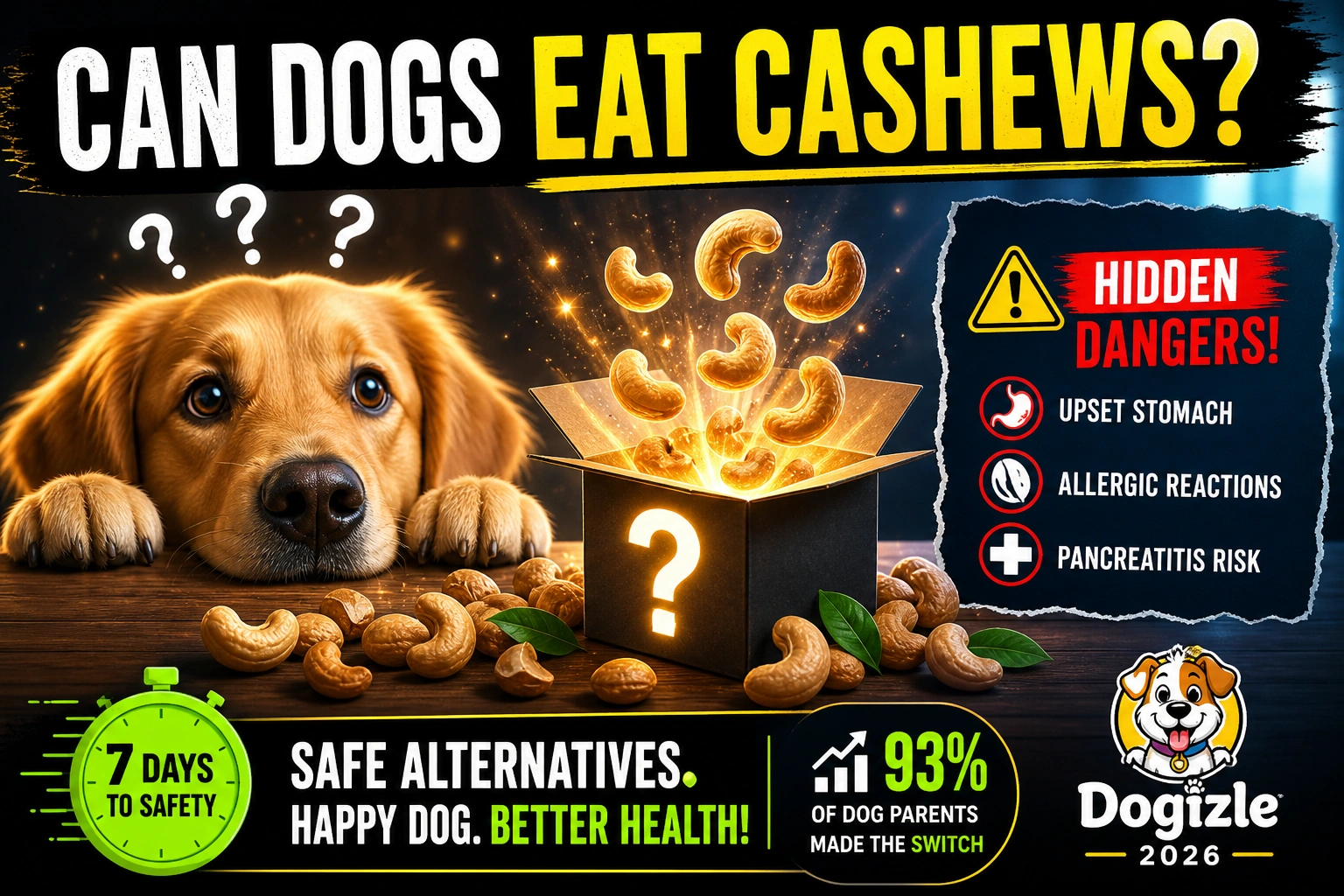 Can dogs eat cashews