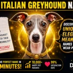 Dog Names for Italian Greyhounds