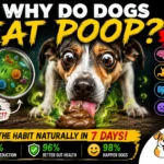 Why Do Dogs Eat Poop