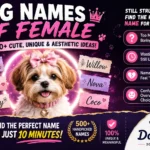 Dog Names of Female