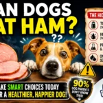 Can Dogs Eat Ham